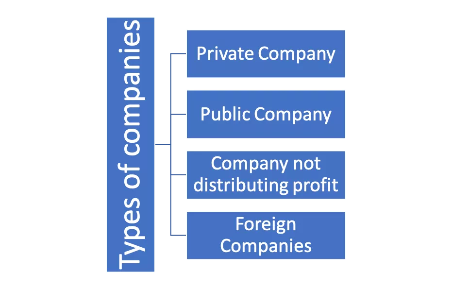 types-of-companies