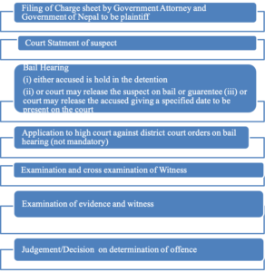 Court Process of Criminal Cases in Nepal 