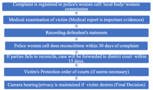 Legal Remedy for Domestic Violence in Nepal:Domestic Violence process in Nepal 